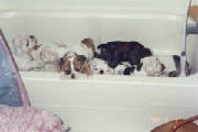 bathtime1.jpg