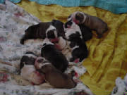 dsc00008.jpg