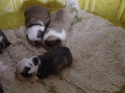 dsc00020.jpg