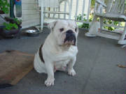 dsc00023.jpg