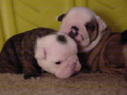 dsc00030.jpg