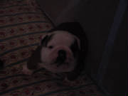 dsc00091.jpg