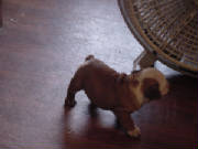 dsc00108.jpg