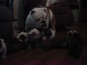 dsc00140.jpg