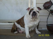 pookie409.jpg