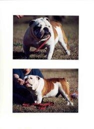cane.jpg