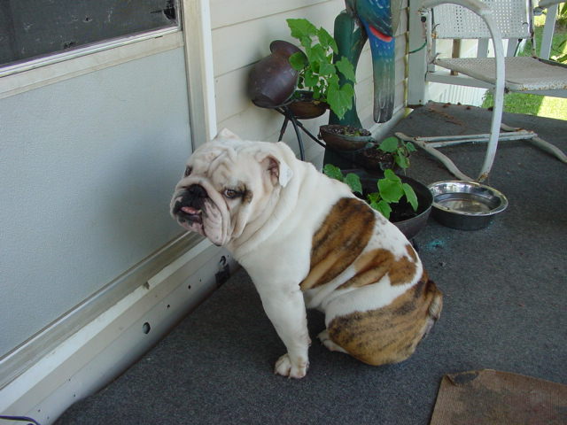 dsc00016.jpg