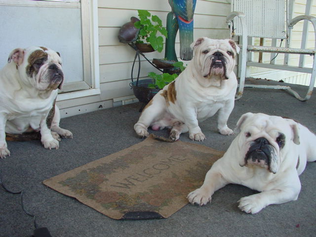 dsc00022.jpg