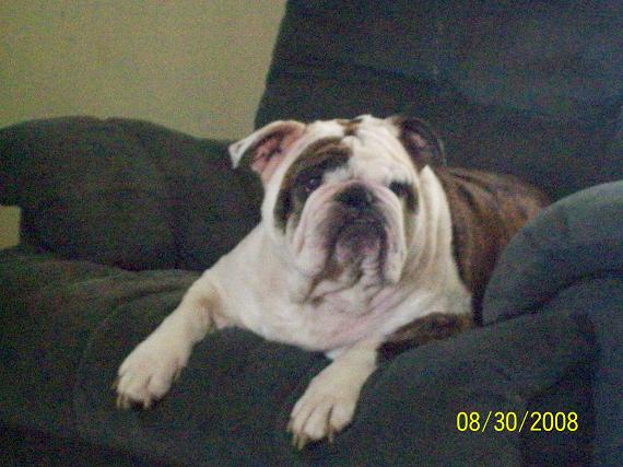 pookie031.jpg