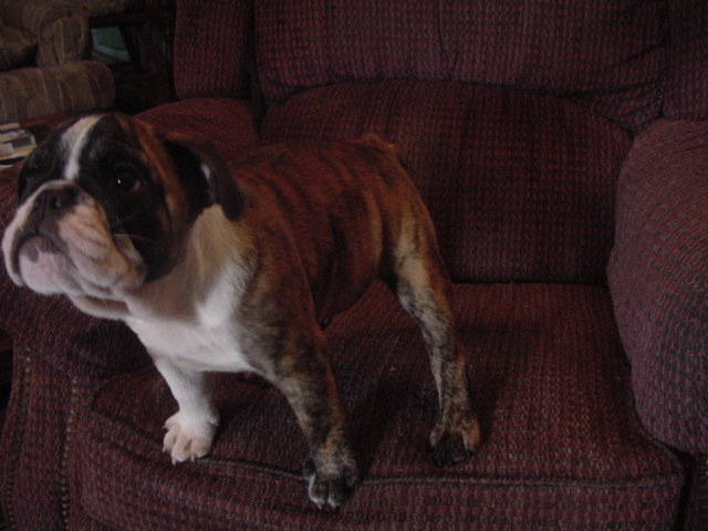 sandy09.jpg